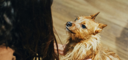 Hôtel Petit Palace Puerta del Sol 4*, Séjour Espagne & ses îles, Madrid par Ôvoyages Hôtel Petit Palace Puerta del Sol 4*, Séjour Espagne & ses îles, Madrid par Ôvoyages