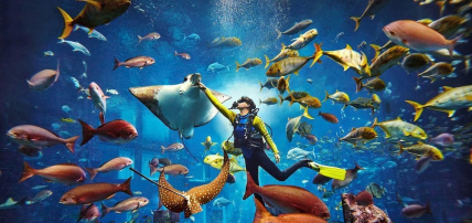 Hôtel Atlantis The Royal 5*, Séjour Dubaï, Dubaï par Ôvoyages Hôtel Atlantis The Royal 5*, Séjour Dubaï, Dubaï par Ôvoyages