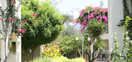 Hôtel Mandarin Resort & Spa 5*, Séjour Turquie, Bodrum par Ôvoyages Hôtel Mandarin Resort & Spa 5*, Séjour Turquie, Bodrum par Ôvoyages