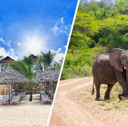 Combiné Ôclub Zen Sansi Kendwa Beach Resort 4* & Safari 2 nuits en avion, Séjour Tanzanie, Zanzibar par Ôvoyages Combiné Ôclub Zen Sansi Kendwa Beach Resort 4* & Safari 2 nuits en avion, Séjour Tanzanie, Zanzibar par Ôvoyages