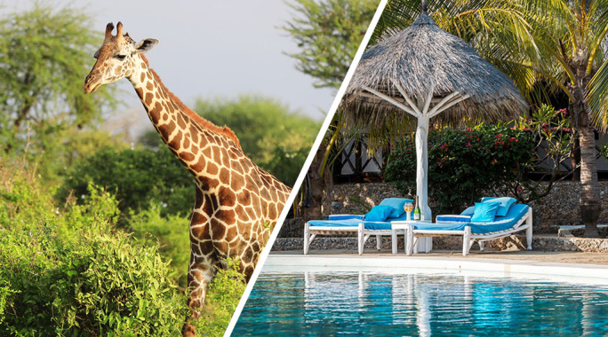 Hôtel Exploreans Malaika Villas & Beach Club 3* by Ôvoyages + Safari 2 Nuits dans le Parc National de Tsavo Est, Séjour Kenya par Ôvoyages Hôtel Exploreans Malaika Villas & Beach Club 3* by Ôvoyages + Safari 2 Nuits dans le Parc National de Tsavo Est, Séjour Kenya par Ôvoyages