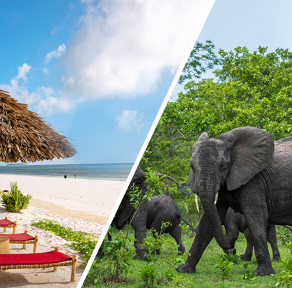 Combiné AHG Sun Bay Mlilile Beach Hotel 4* + Safari 2 nuits dans la réserve de Selous en avion, Séjour Tanzanie, Zanzibar par Ôvoyages Combiné AHG Sun Bay Mlilile Beach Hotel 4* + Safari 2 nuits dans la réserve de Selous en avion, Séjour Tanzanie, Zanzibar par Ôvoyages
