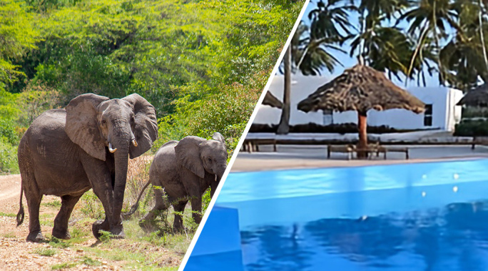 Combiné SBH Kilindini 5* & Safari 2 nuits dans la réserve de Selous en avion, Séjour Tanzanie, Zanzibar par Ôvoyages Combiné SBH Kilindini 5* & Safari 2 nuits dans la réserve de Selous en avion, Séjour Tanzanie, Zanzibar par Ôvoyages