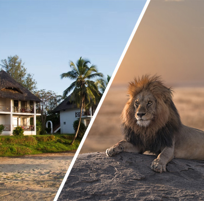 Hôtel Antonio Beach Tree House & Spa 4* + Safari 2 nuits dans la réserve de Selous en avion, Séjour Tanzanie, Zanzibar par Ôvoyages Hôtel Antonio Beach Tree House & Spa 4* + Safari 2 nuits dans la réserve de Selous en avion, Séjour Tanzanie, Zanzibar par Ôvoyages