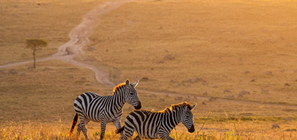 Circuit Les Incontournables du Kenya, Circuit Kenya par Ôvoyages Circuit Les Incontournables du Kenya, Circuit Kenya par Ôvoyages