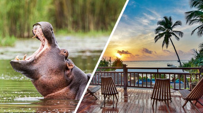 Ôcombiné Kena Beach Hotel 4* Sup & Safari 2 nuits dans le Selous en avion, Circuit Tanzanie, Zanzibar par Ôvoyages Ôcombiné Kena Beach Hotel 4* Sup & Safari 2 nuits dans le Selous en avion, Circuit Tanzanie, Zanzibar par Ôvoyages