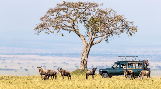 Circuit Safari Inoubliable au Kenya 4*/5*, Circuit Kenya par Ôvoyages Circuit Safari Inoubliable au Kenya 4*/5*, Circuit Kenya par Ôvoyages
