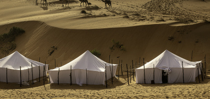 Combiné Circuit Evasions Sénégalaises & Ôclub Experience African Village Bougainvillées 3*, Combiné Sénégal par Ôvoyages Combiné Circuit Evasions Sénégalaises & Ôclub Experience African Village Bougainvillées 3*, Combiné Sénégal par Ôvoyages