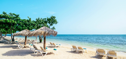 Hôtel Iberostar Waves Rose Hall Beach 5*, Séjour Jamaïque par Ôvoyages Hôtel Iberostar Waves Rose Hall Beach 5*, Séjour Jamaïque par Ôvoyages