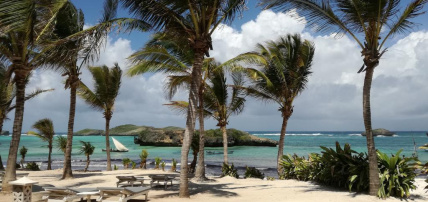 Hôtel Sun Palm Beach 4* Sup + Safari 1 nuit, Combiné Kenya par Ôvoyages Hôtel Sun Palm Beach 4* Sup + Safari 1 nuit, Combiné Kenya par Ôvoyages